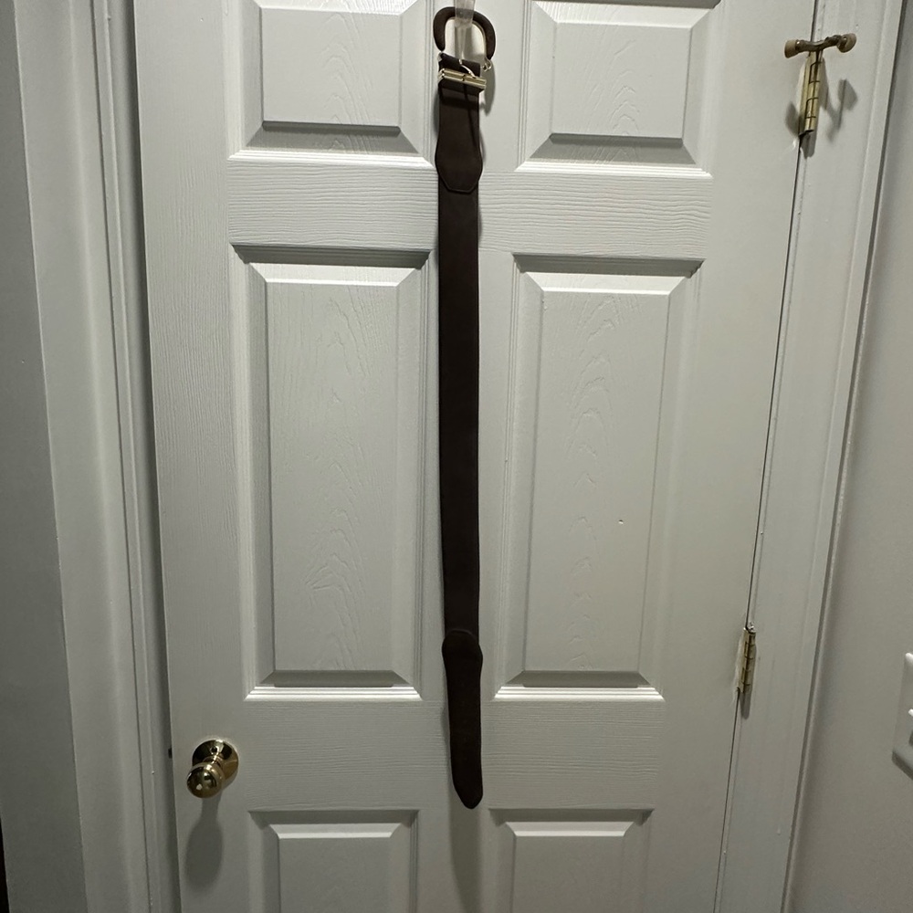 Elegant Brown and Gold Women's Belt - Picture 6 of 6